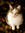 Traci (Traci37643) | 1 comments