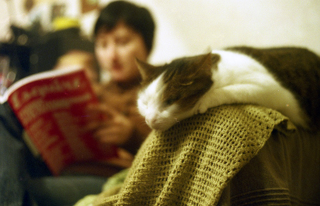 Goodreads profile picture for @soon