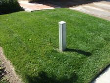 Bijan Jafari-kashani