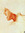 Dick Tinto | 184 comments
