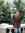 Hope | 24 comments
