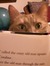 Amy