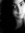Eva Millan
