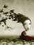 Carrie Mcmillin
