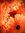 Adrie | 1 comments