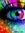 Polly | 14 comments