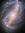 Rivka | 5 comments