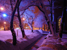 Mohsenpr53