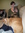 Wendy (xenew) | 5 comments