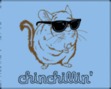 Chinchilla