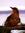 The Bird from Twin Peaks (slutty_goblin) | 1 comments