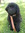 Thea | 1 comments