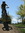 Zock | 84 comments