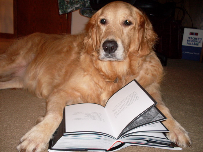 Goodreads profile picture for @walton