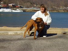Libby