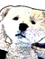 Aloysius
