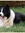 Dani | 53 comments