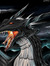 Hawkheart