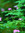 Anne | 1 comments