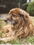 ♥ Vonda M. Reid ♥