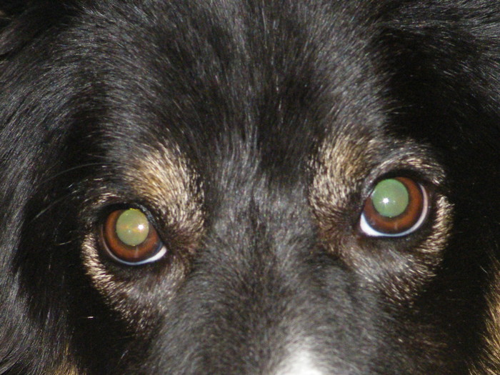 Goodreads profile picture for @Dawning