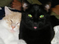 Sooziemac McLaughlin