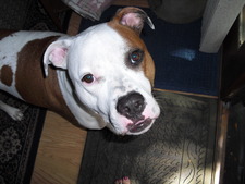 Laurie(Time Stand Still)