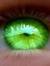 GreenEyed_Geek