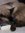 Amy Baten | 14 comments