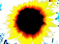 Chrysann Castro-barker