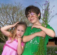 Melissa Strong Fraley