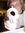 Bill (madvilhelm) | 47 comments