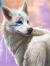 Wolflover☺☺☻