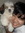 Kaye Bernardo (margaux74) | 7 comments