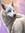 White_paws
