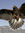Harry (fireagle22) | 1 comments