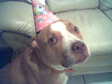 Patrick