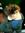 chirpy harvey (meoww) | 1 comments