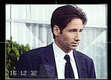 Steve Steve