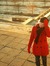 Liva