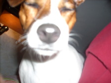 Maggie N