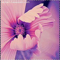 آية علاء الدين