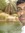 Ashraf ...