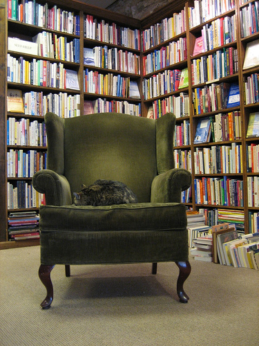 Goodreads profile picture for @hare