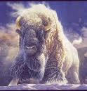 The Great White Buffalo