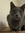 Nina (graycodekitty) | 18 comments