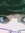 Rute Mo...
