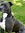Leroy (LeroyJR) | 3 comments