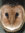 John Parvin | 138 comments
