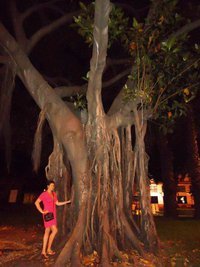 Sofija Pop-jordanova